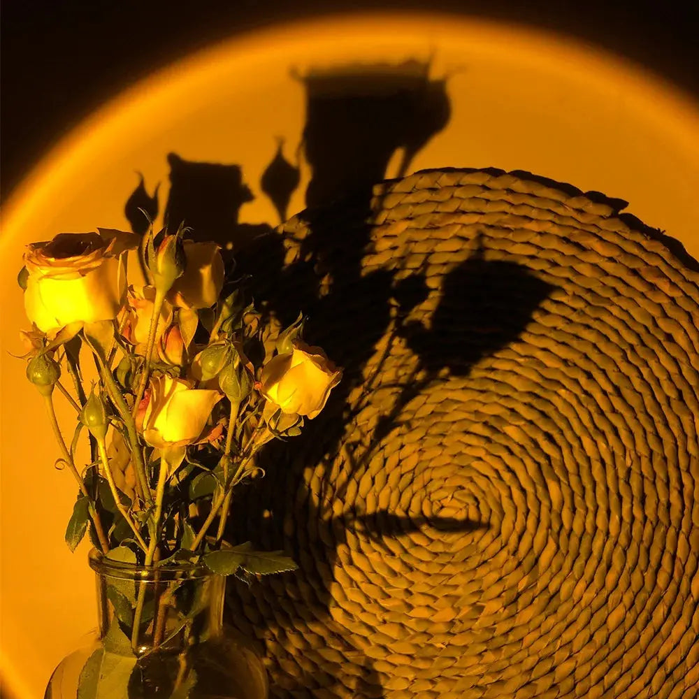 Projecteur Coucher de Soleil Espace Astronomie Espace Astronomie